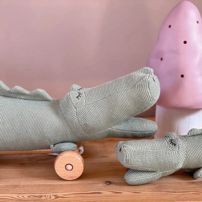Pull-Along Croc