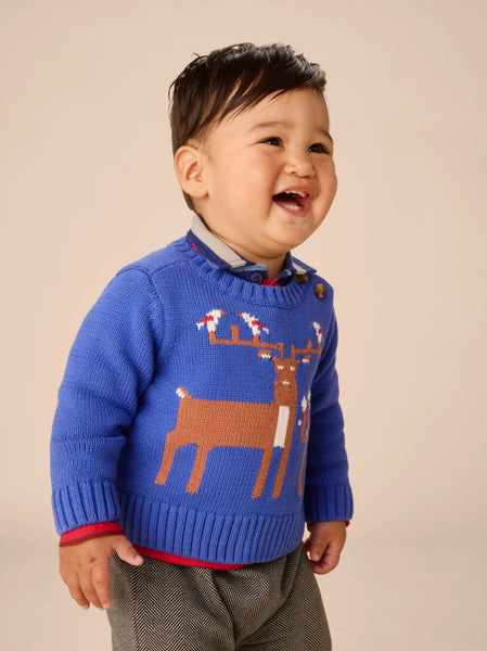 Majorelle Blue Reindeer Baby Sweater