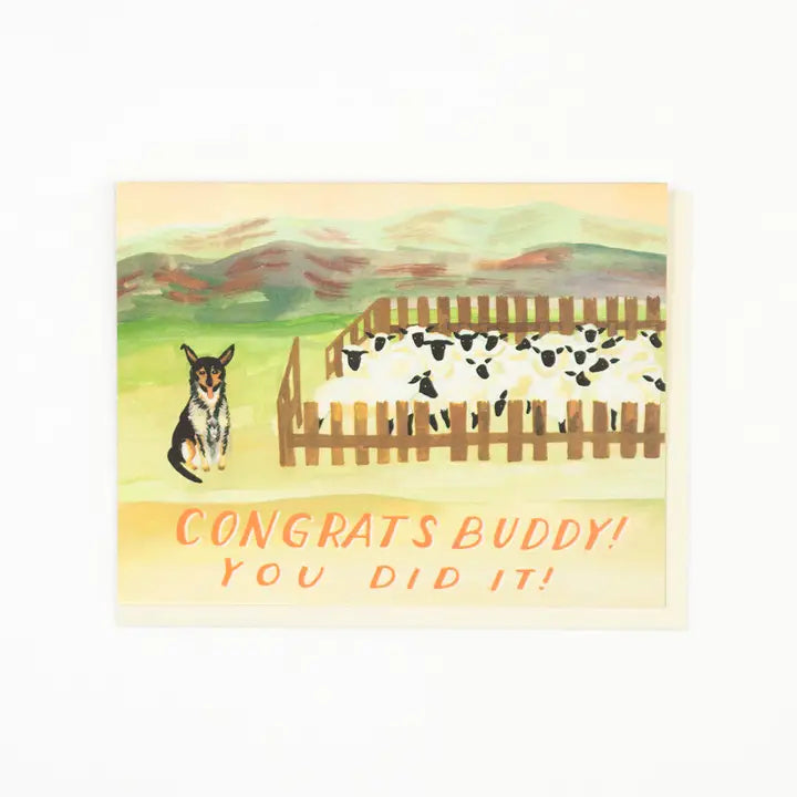 Sheep Dog Congratulations Card