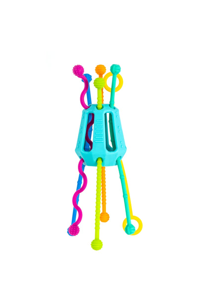 Multi Zippee Activity Pull Toy