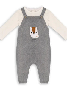 Owl Applique Organic Knit Overall + Bodysuit Set