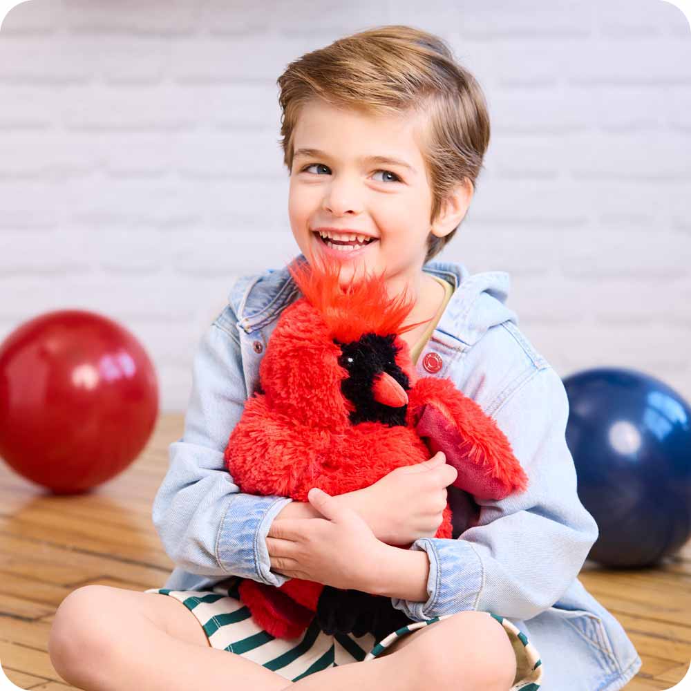 Red Cardinal Warmies