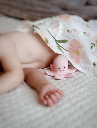 Natural Rubber Octopus