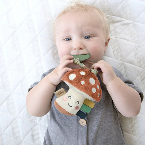 Itzy Pal Plush + Teether