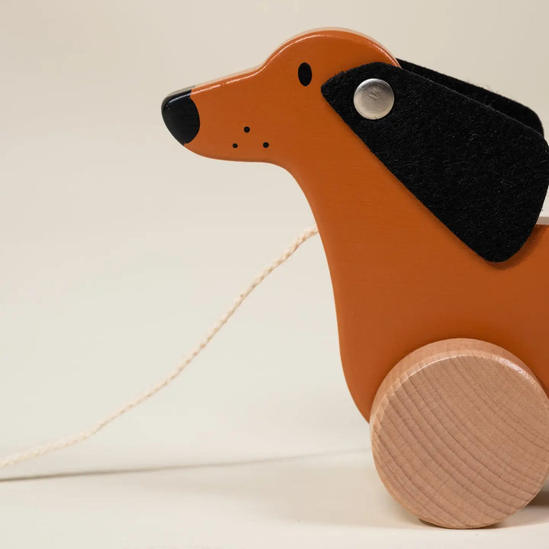 Dog Pull Toy