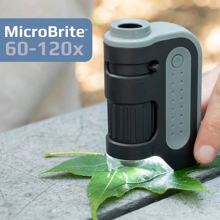 Lighted Pocket Microscope