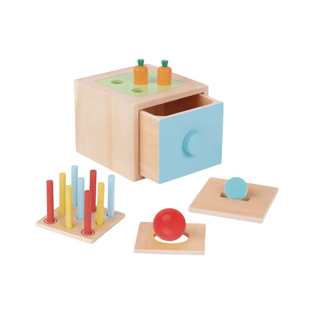 Wooden Montessori  4 in 1 Educational Box