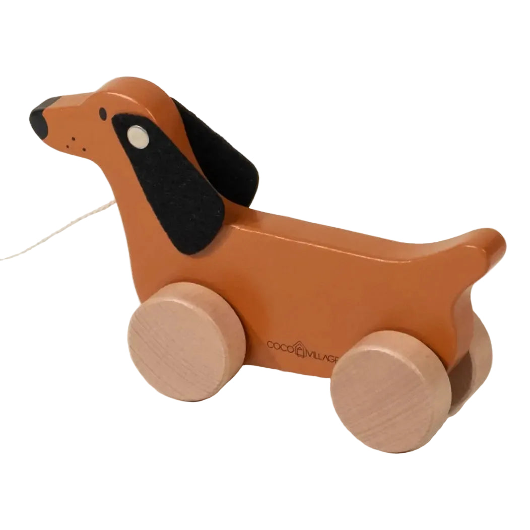 Dog Pull Toy