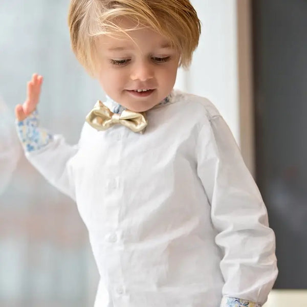 Dapper Gold Bow Tie