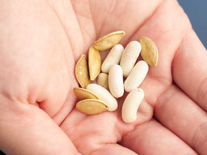 Window Garden DIY Growing Plant Kit