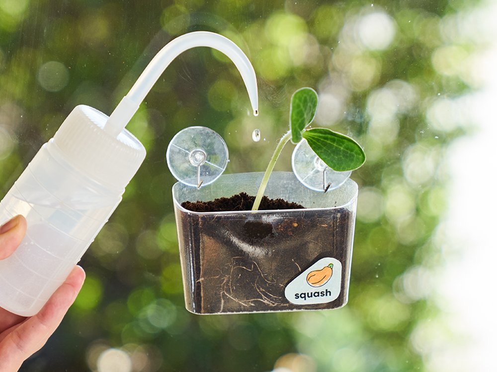 Window Garden DIY Growing Plant Kit