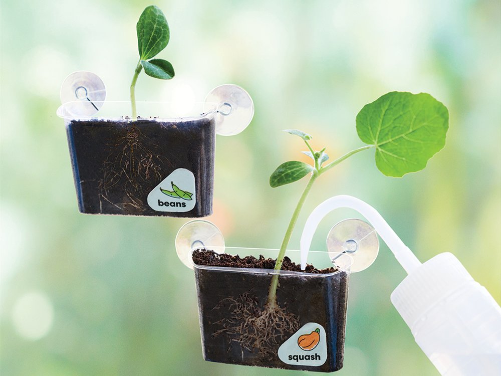 Window Garden DIY Growing Plant Kit
