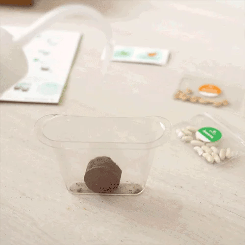 Window Garden DIY Growing Plant Kit