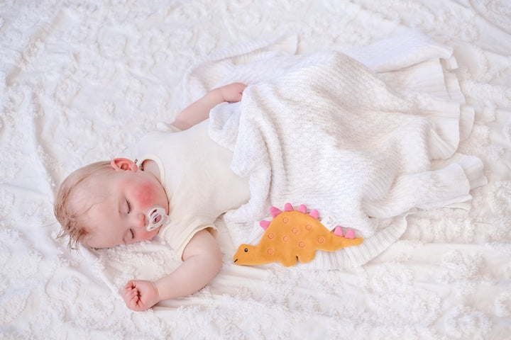 Crinkle Organic Stegosaurus