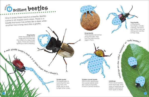 The Ultimate Sticker Book: Bugs