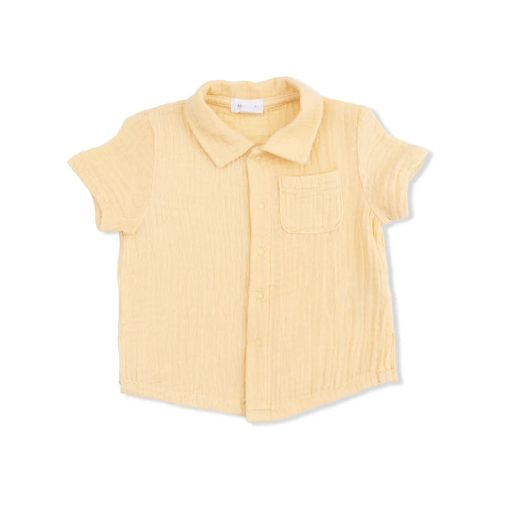 Blue Blizzard Micro Gingham Polo Button Up w/ Casual Short