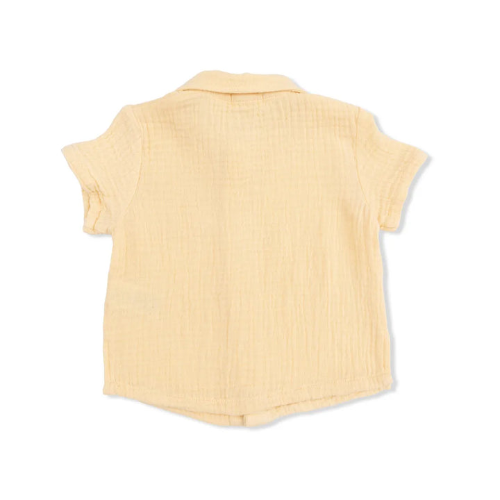 Blue Blizzard Micro Gingham Polo Button Up w/ Casual Short