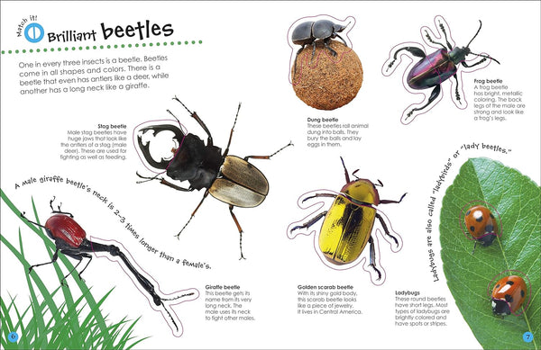 The Ultimate Sticker Book: Bugs