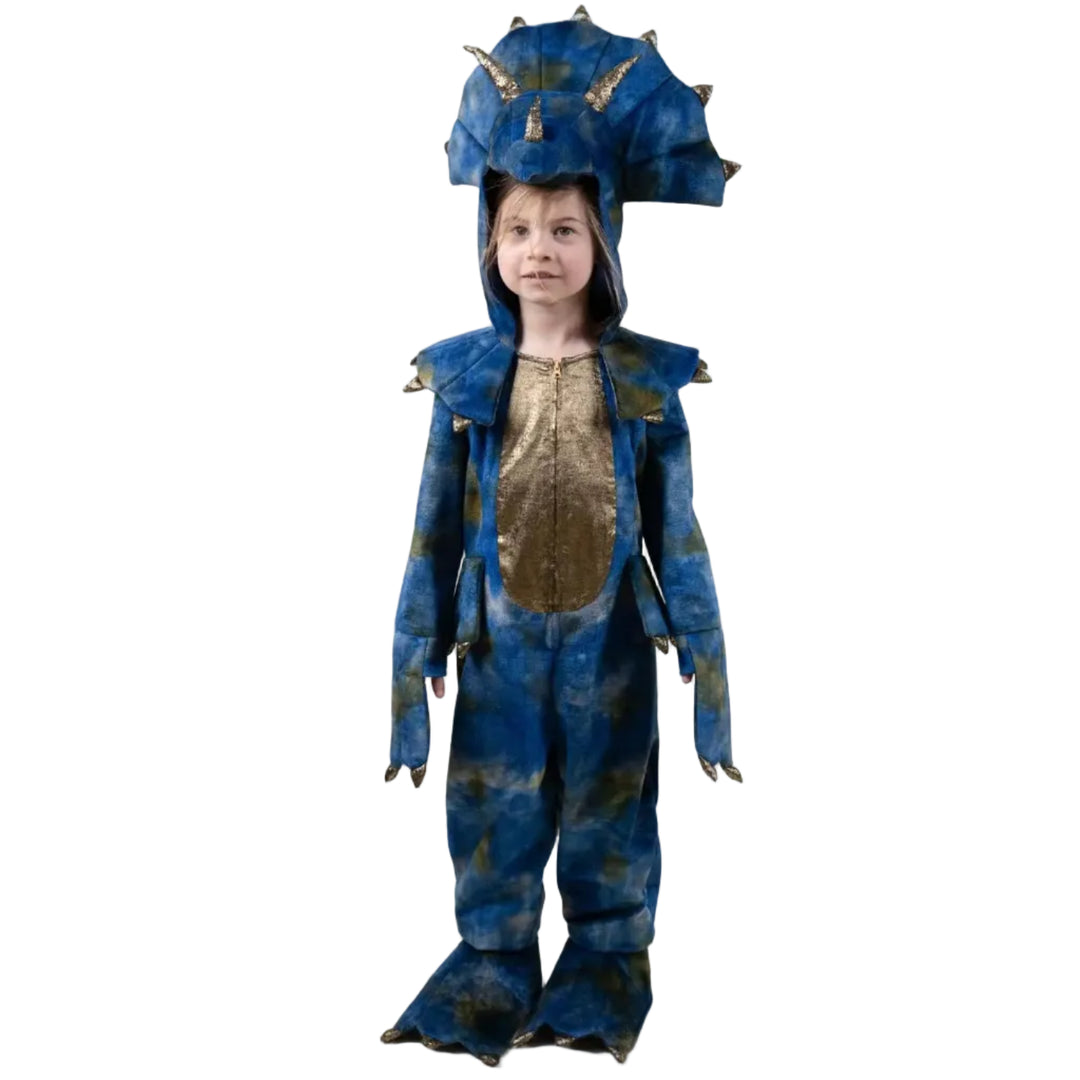 Dinosaur Play Costume - 5–6 Years