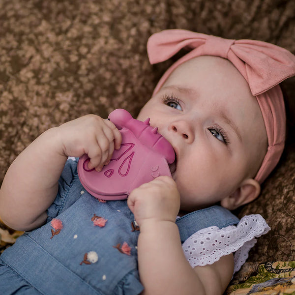 Butterfly Teether/Rattle/Bath Toy