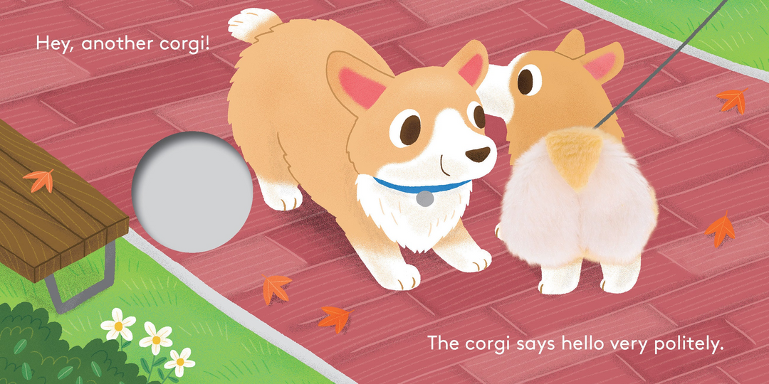 Baby Corgi Butt