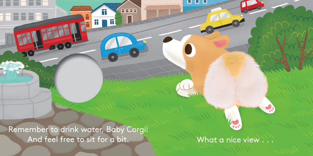 Baby Corgi Butt