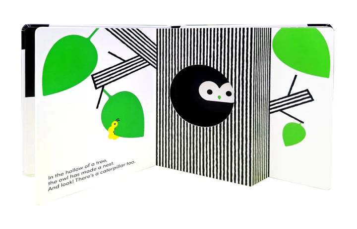 Baby Basics: Animals at Home