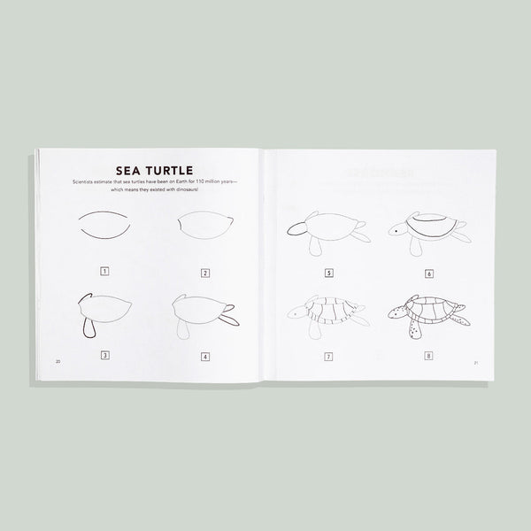How to Draw for Kids: Under the Sea