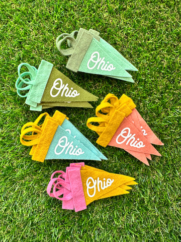 Mini Ohio Pennant