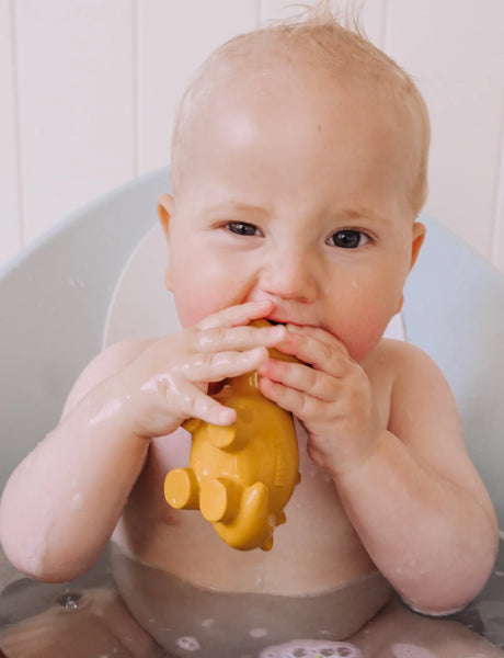 Stego Teether/Rattle /Bath Toy