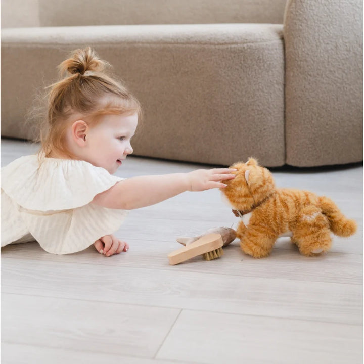 Munchkin and House Cat Pretend Play Set