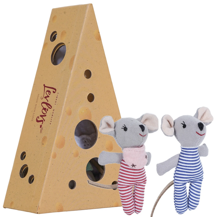 Fluffy Baby Mice in Cheese Box