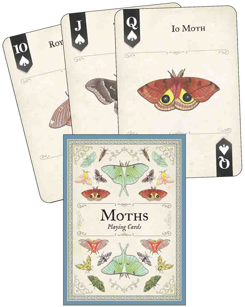 Moths Playing Cards
