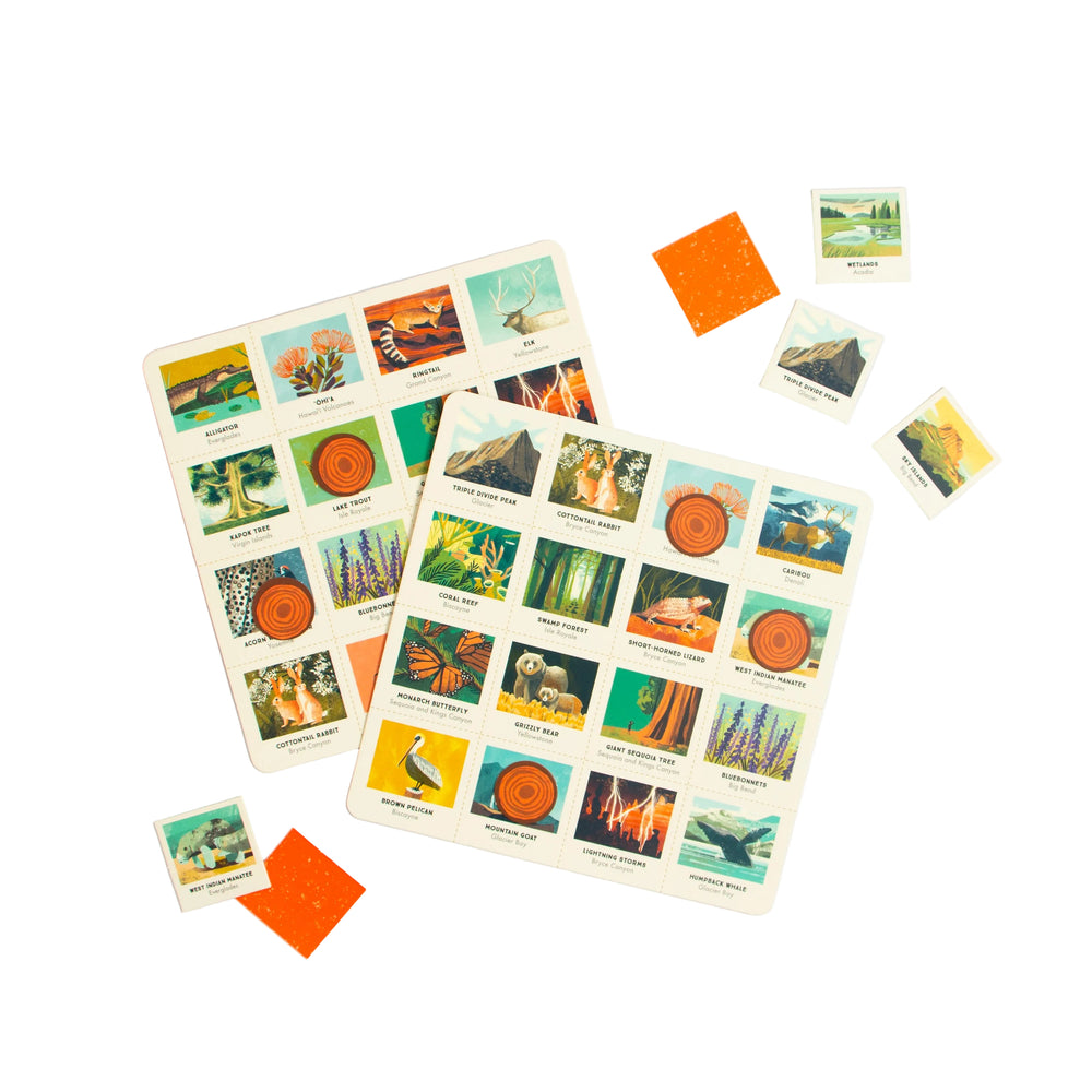 Set of trading cards with various illustrations on a light gray background