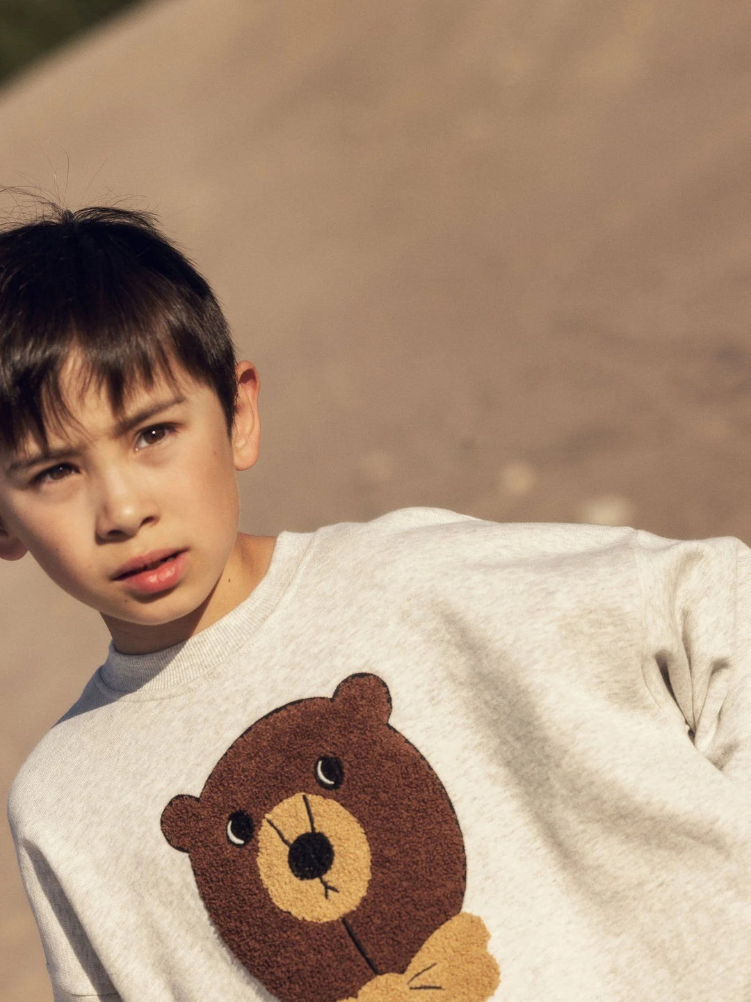 Grey Melange Bear Chenille Sweatshirt