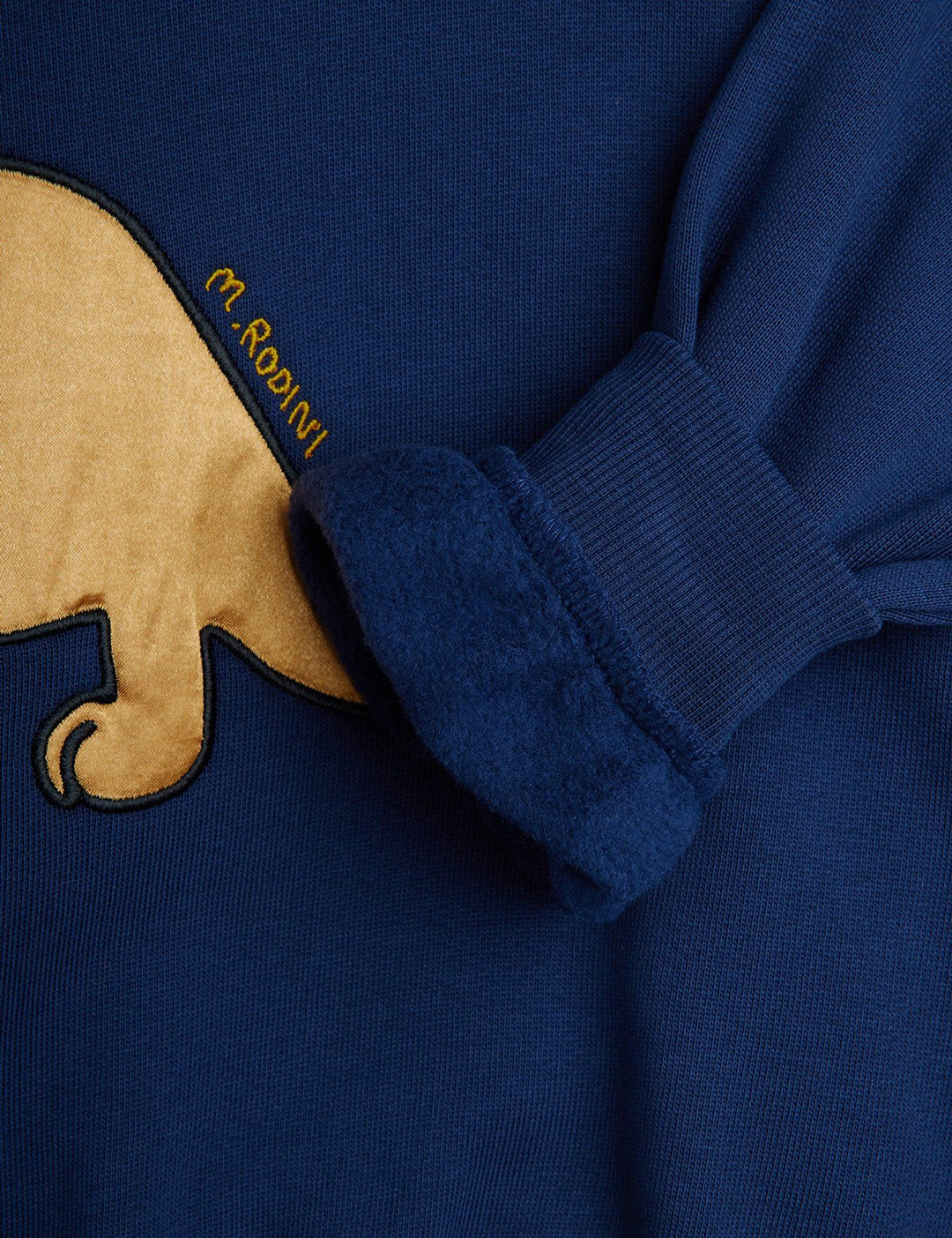 Blue Dino Application Sweatshirt
