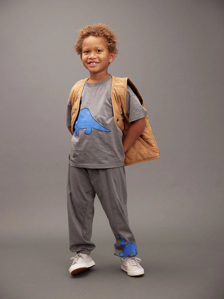 Grey Dino SP S/S Tee