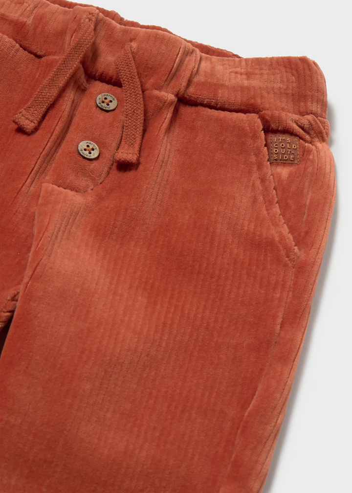 Burnt Orange Corduroy Pants