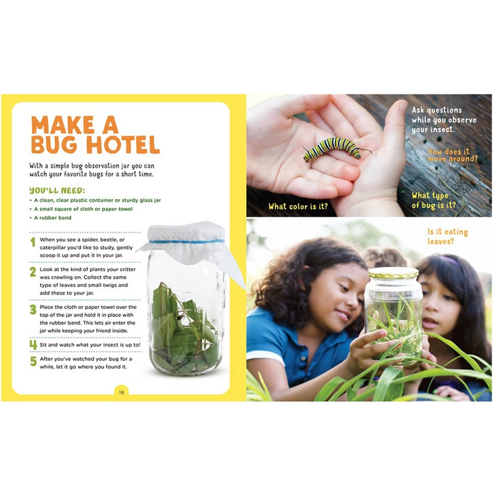 Backpack Explorer: Bug Hunt