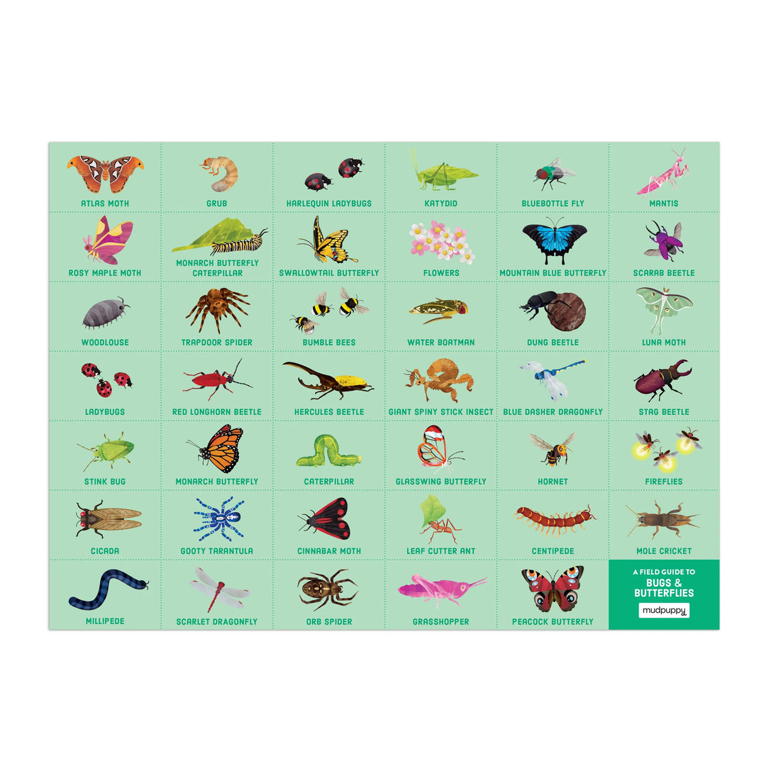 Bugs + Butterflies Search and Find Puzzle