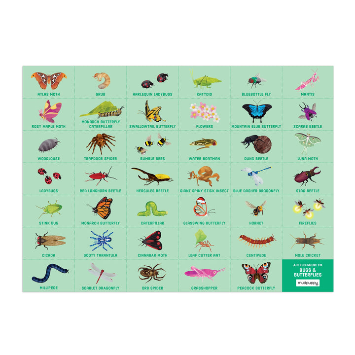 Bugs + Butterflies Search and Find Puzzle