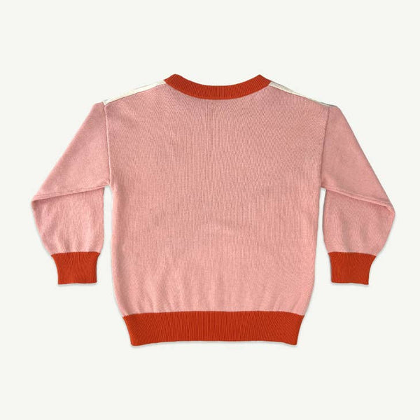 Rad Kid Knit Pink Jumper