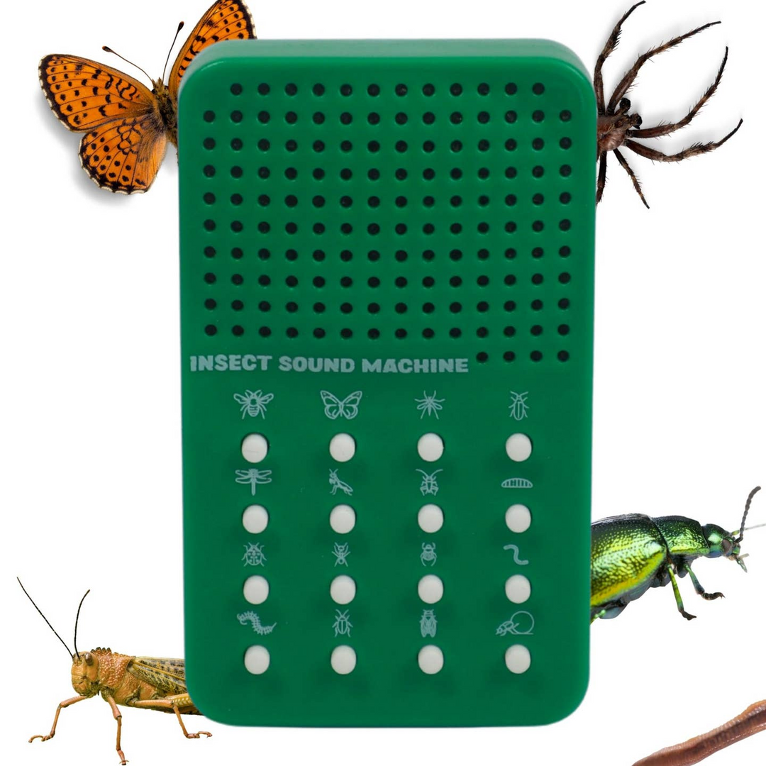A green insect sound machine with a perforated top and rows of button icons for different insects, shown on a white background with decorative close-up photos of a butterfly, spider, grasshopper, beetle, and a slug around it.