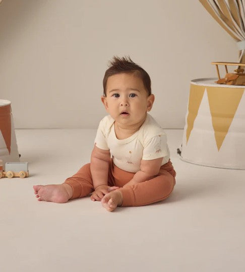 Carnival + Honey Stripe S/S Bodysuits S/2