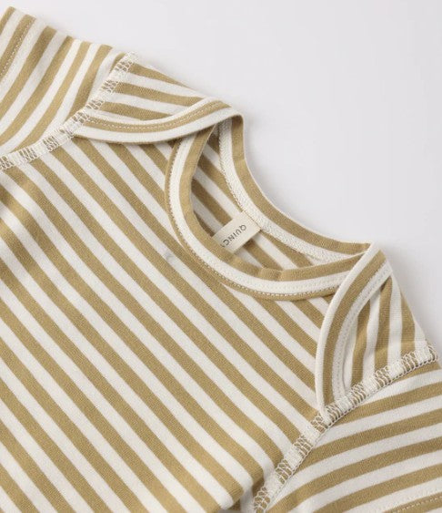 Carnival + Honey Stripe S/S Bodysuits S/2