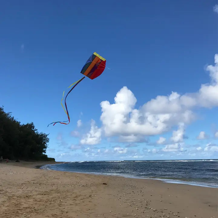 Pouch Parafoil Kite