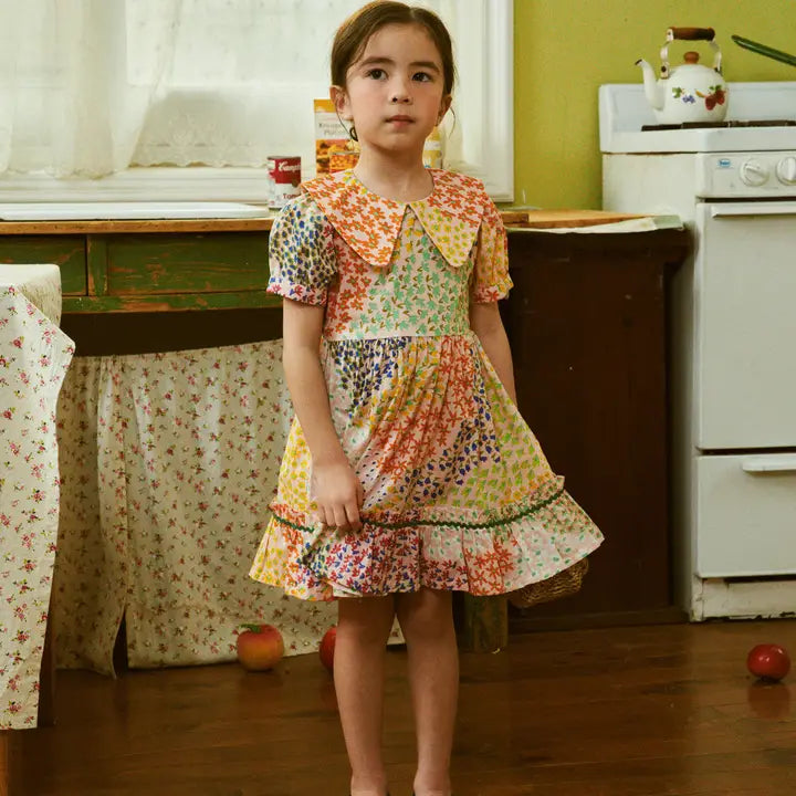 Aria Puff Sleeve Wide Collar Floral Collage Dress