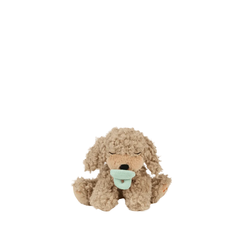 Binky Puppy - Benny Gold