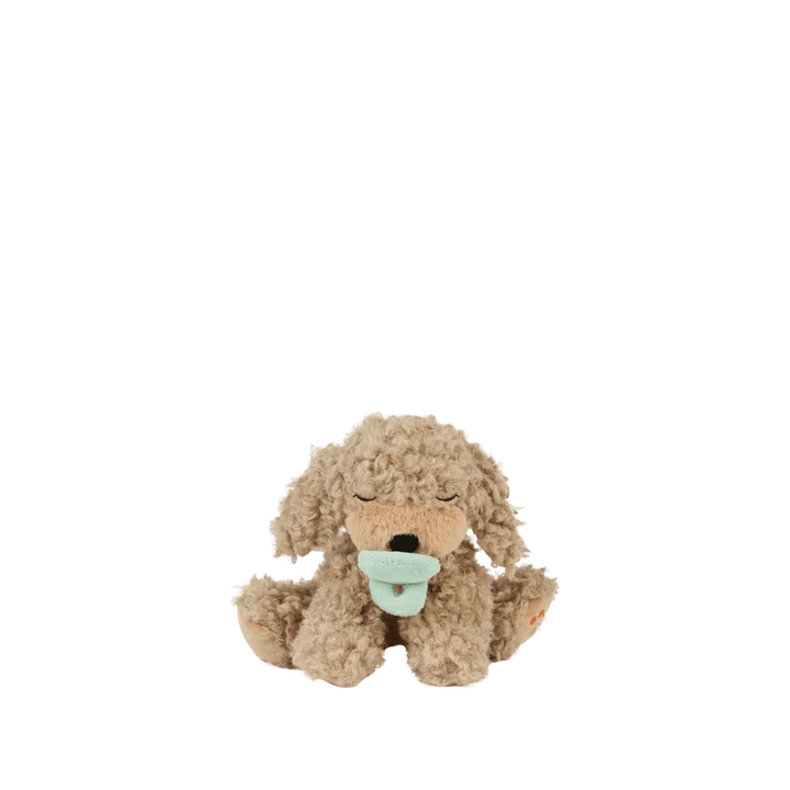 Binky Puppy - Benny Gold