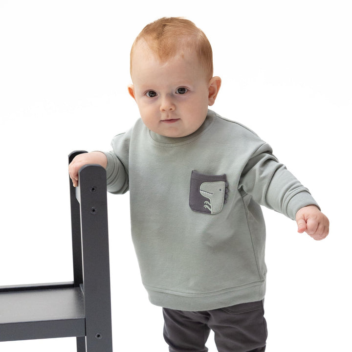 French Terry Drop Sleeve Sweatshirt - Dinos